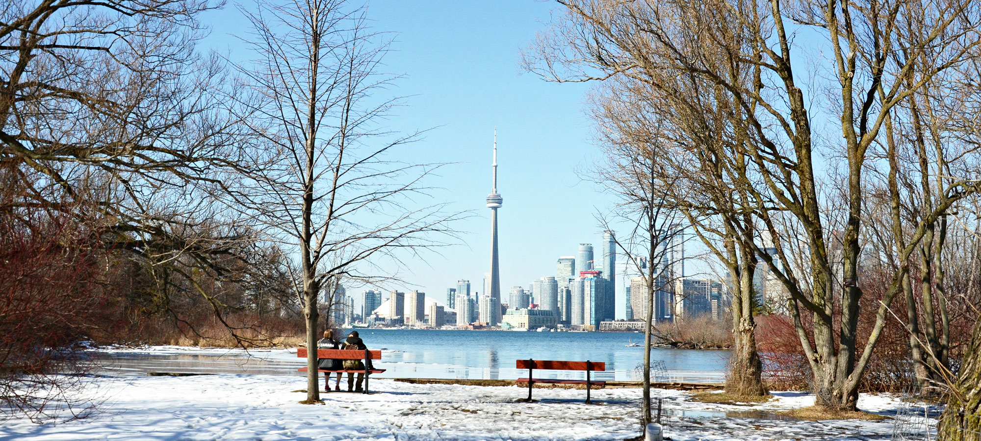 Meet Marco Caminiti | Oral Surgeon Toronto ON