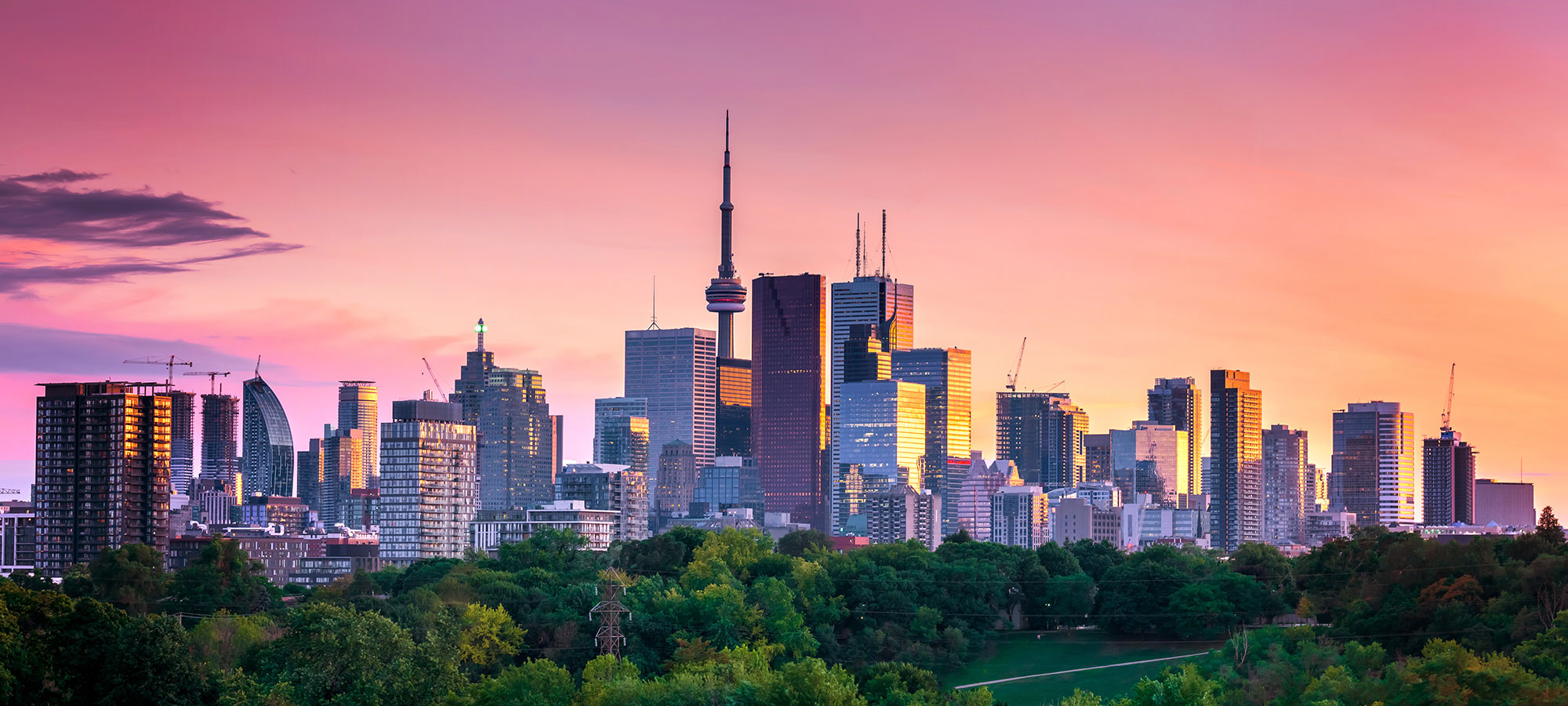 Meet Marco Caminiti | Oral Surgeon Toronto ON