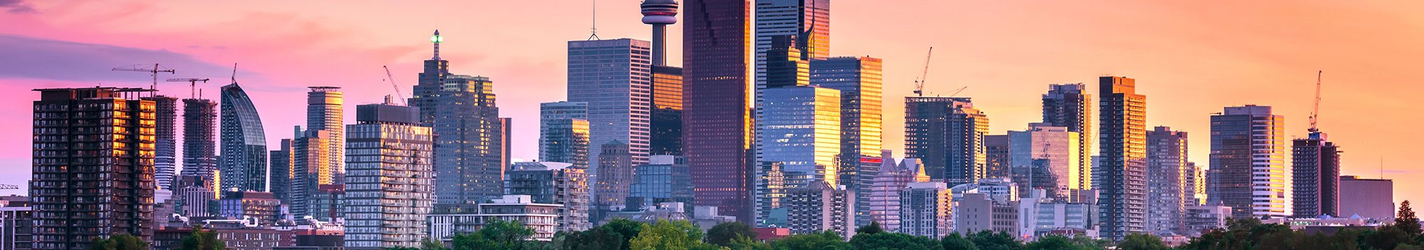 Meet Marco Caminiti | Oral Surgeon Toronto ON